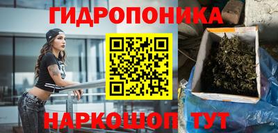 ALPHA PVP Камышлов